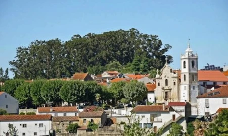 Terreno P/ Prédio para Venda em Ançã