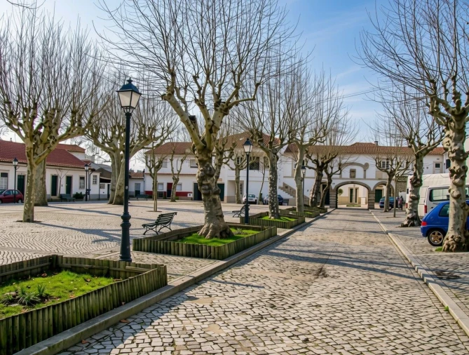 Terreno P/ Prédio para Venda em Ançã Foto 5