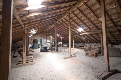 Loja para Venda em Roliça