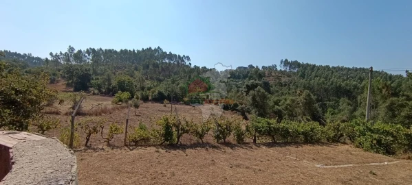 Moradia T3 para Venda em Castelo