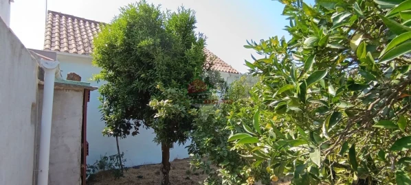 Moradia T3 para Venda em Castelo