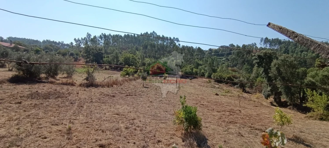 Moradia T3 para Venda em Castelo Foto 51
