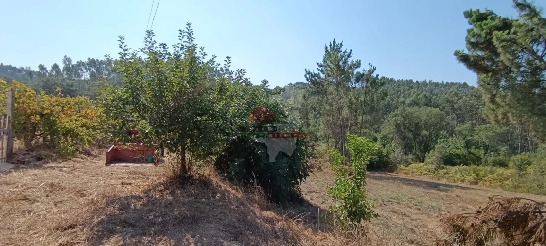 Moradia T3 para Venda em Castelo Foto 53