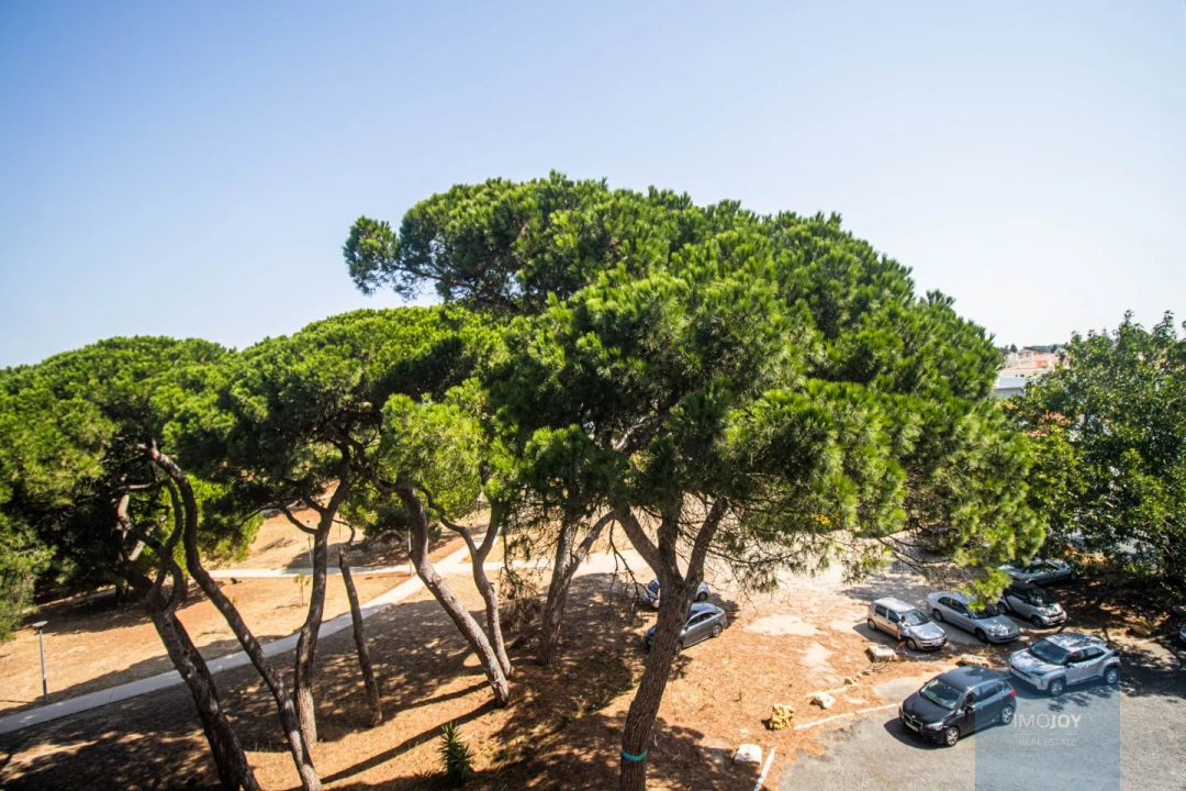 Apartamento T3 para Arrendamento em Cascais e Estoril Foto 22
