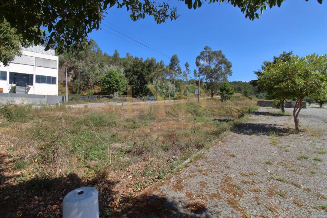 Terreno para Venda em Vila Chã, Codal e Vila Cova de Perrinho Foto 16
