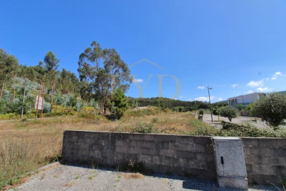 Terreno para Venda em Vila Chã, Codal e Vila Cova de Perrinho