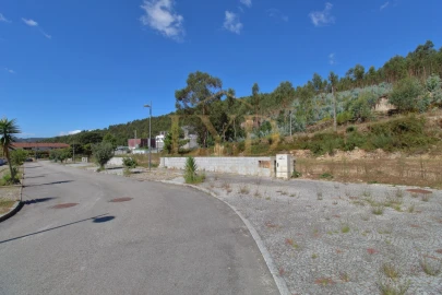 Terreno para Venda em Vila Chã, Codal e Vila Cova de Perrinho