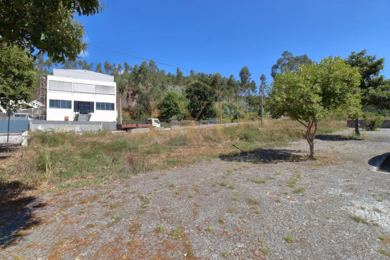 Terreno para Venda em Vila Chã, Codal e Vila Cova de Perrinho Foto 18