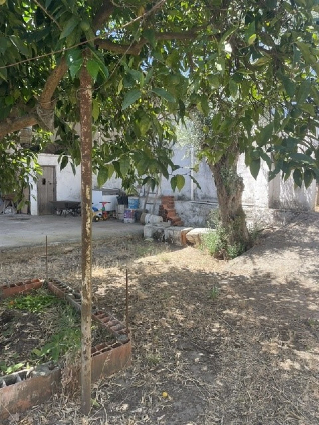Prédio para Venda em Alter do Chão Foto 12
