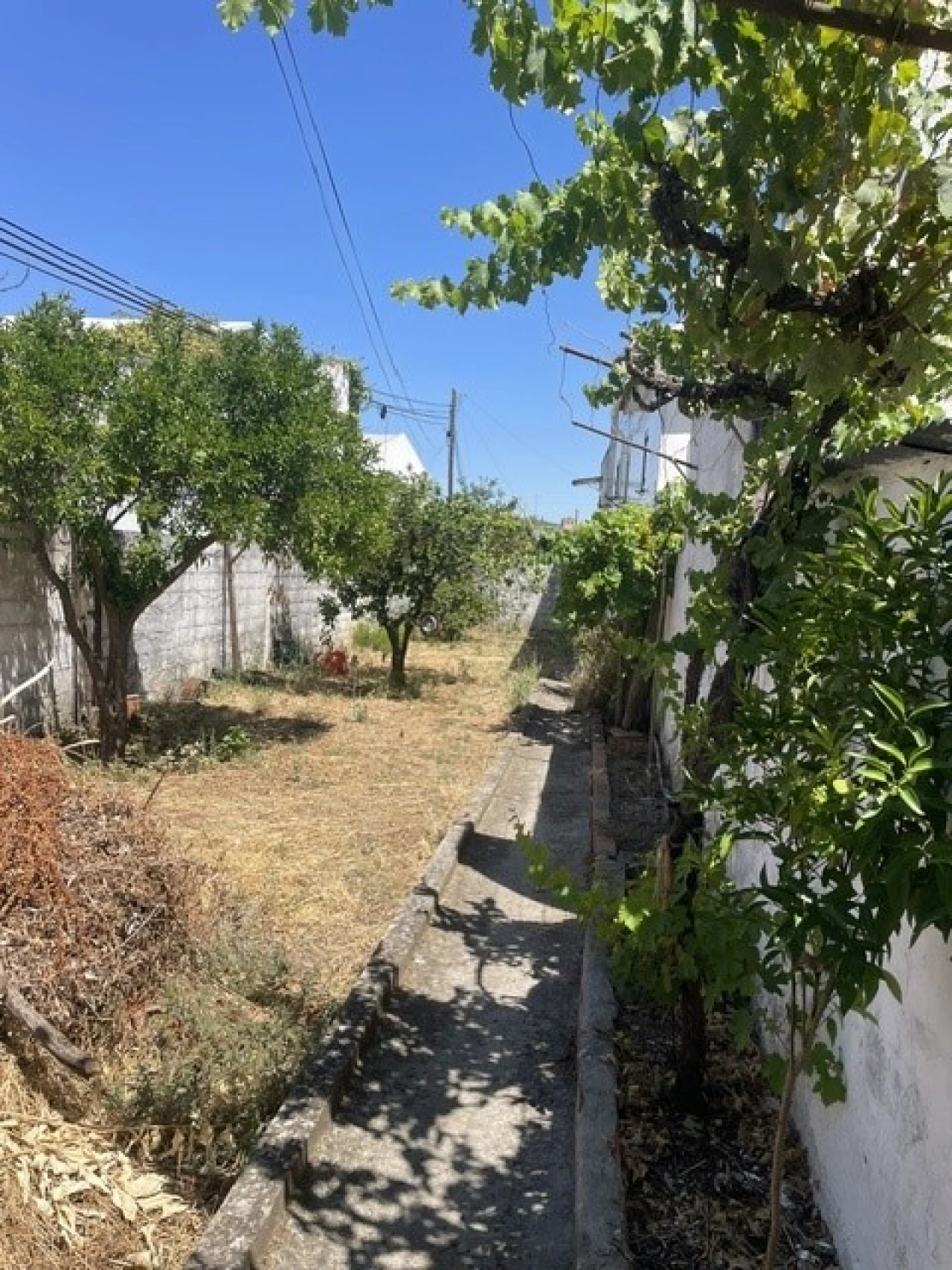 Prédio para Venda em Alter do Chão Foto 17