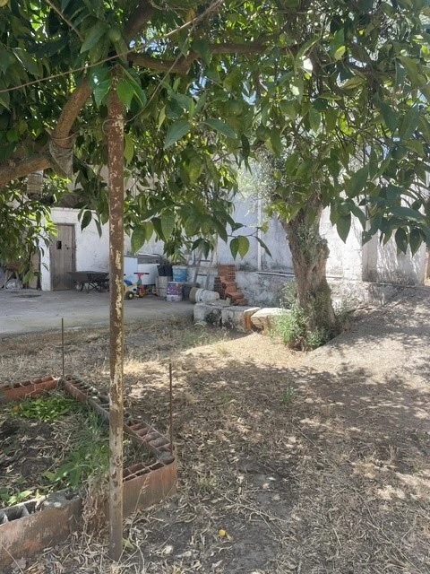 Prédio para Venda em Alter do Chão