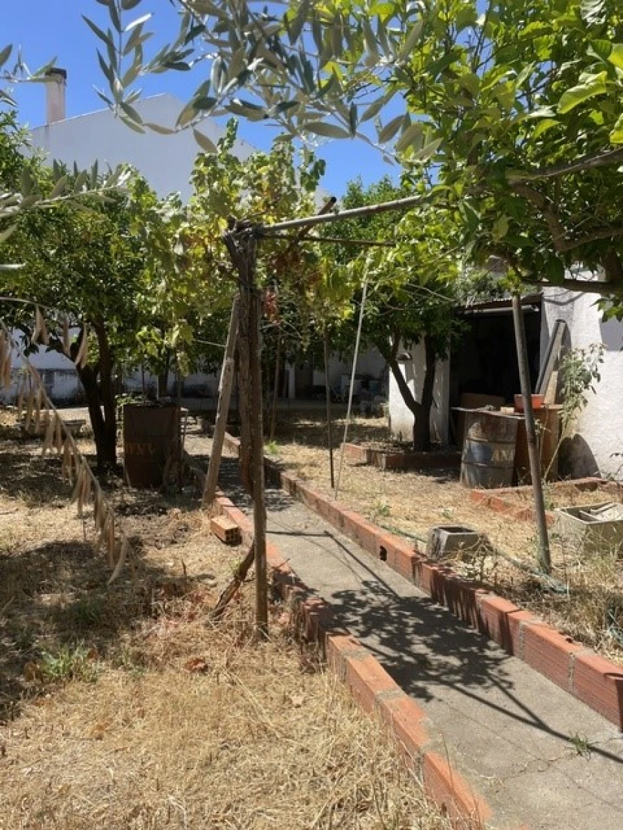 Prédio para Venda em Alter do Chão Foto 11
