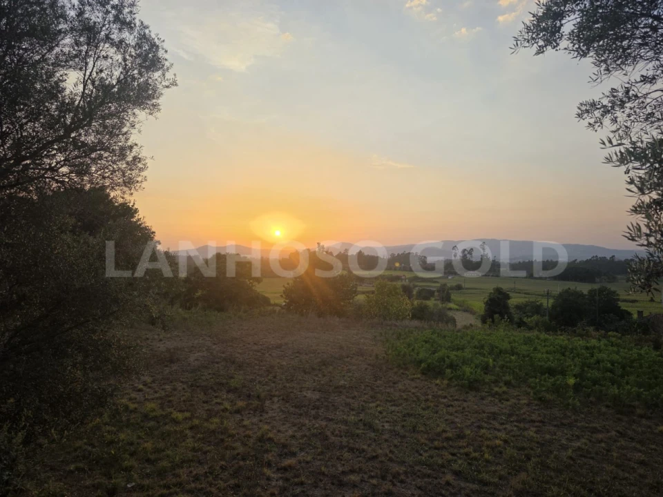 Terreno para Venda em Adães Foto 3