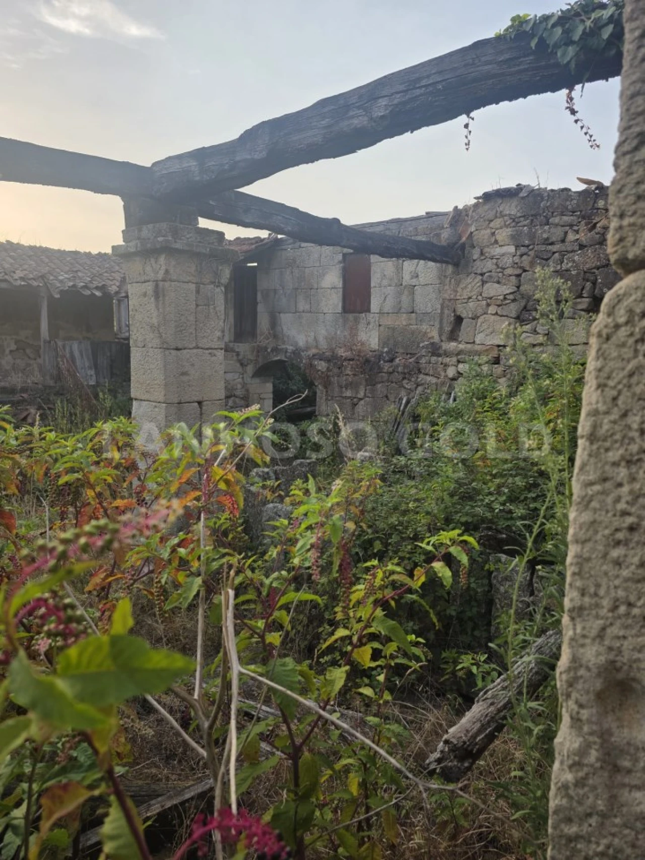 Terreno para Venda em Adães Foto 4