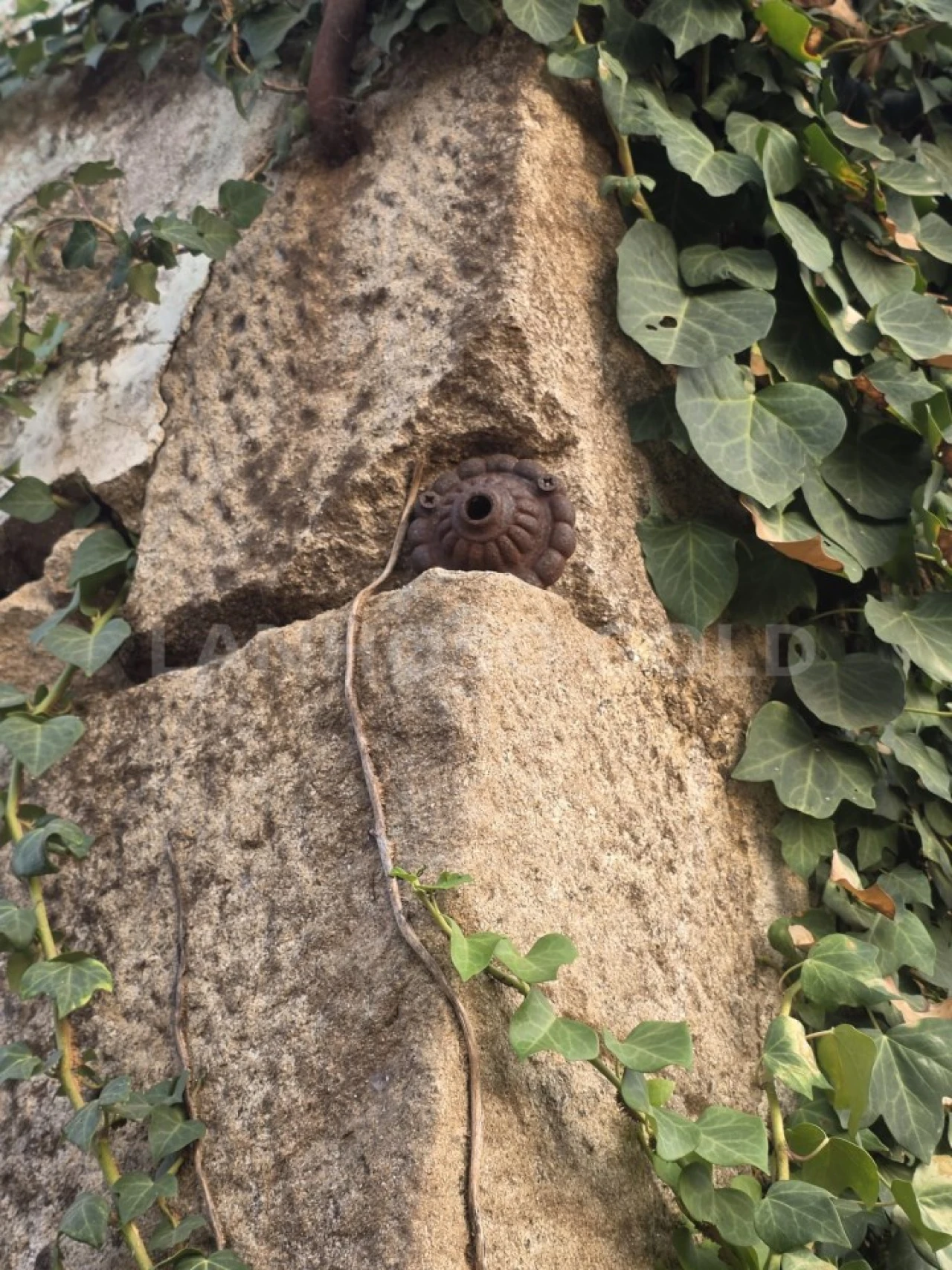 Terreno para Venda em Adães Foto 10