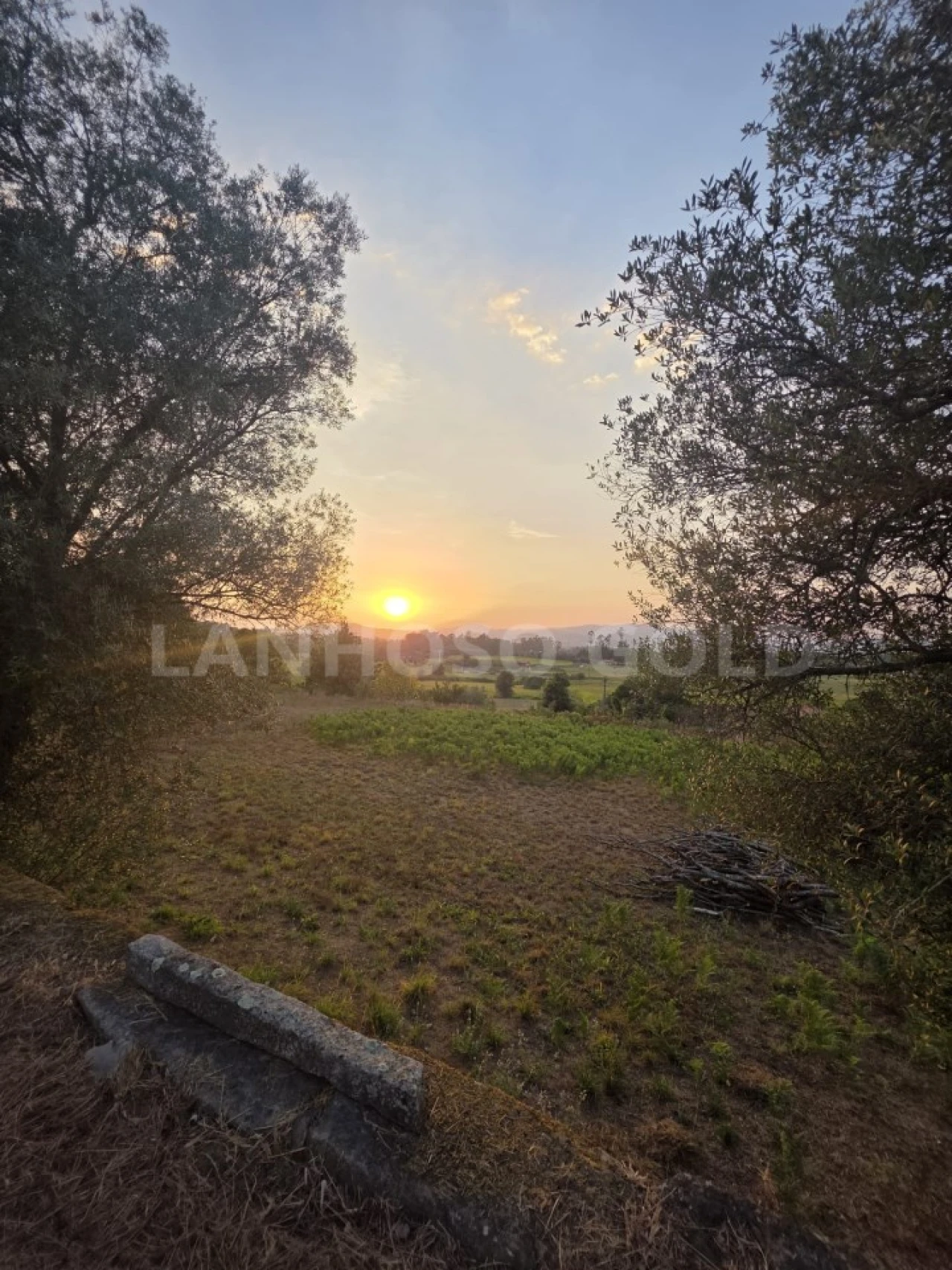 Terreno para Venda em Adães Foto 14
