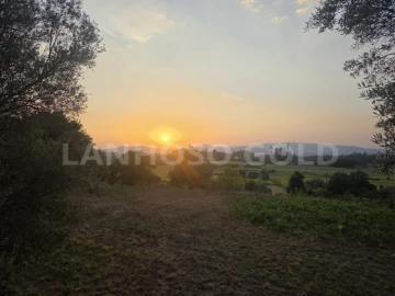Terreno para Venda em Adães