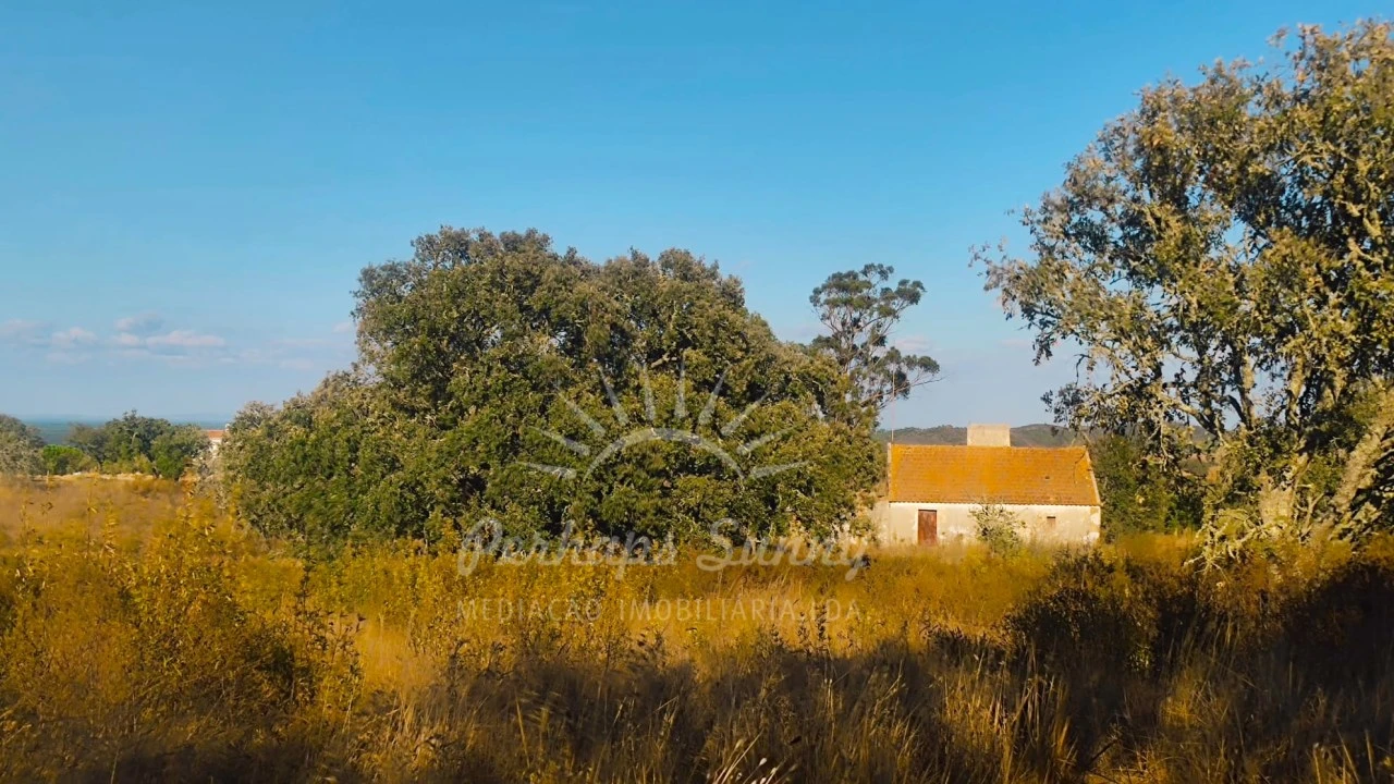 Terreno Misto para Venda em Grândola e Santa Margarida da Serra Foto 1