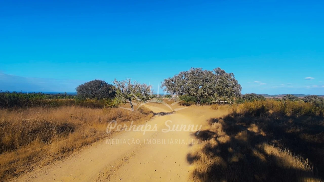 Terreno Misto para Venda em Grândola e Santa Margarida da Serra Foto 5