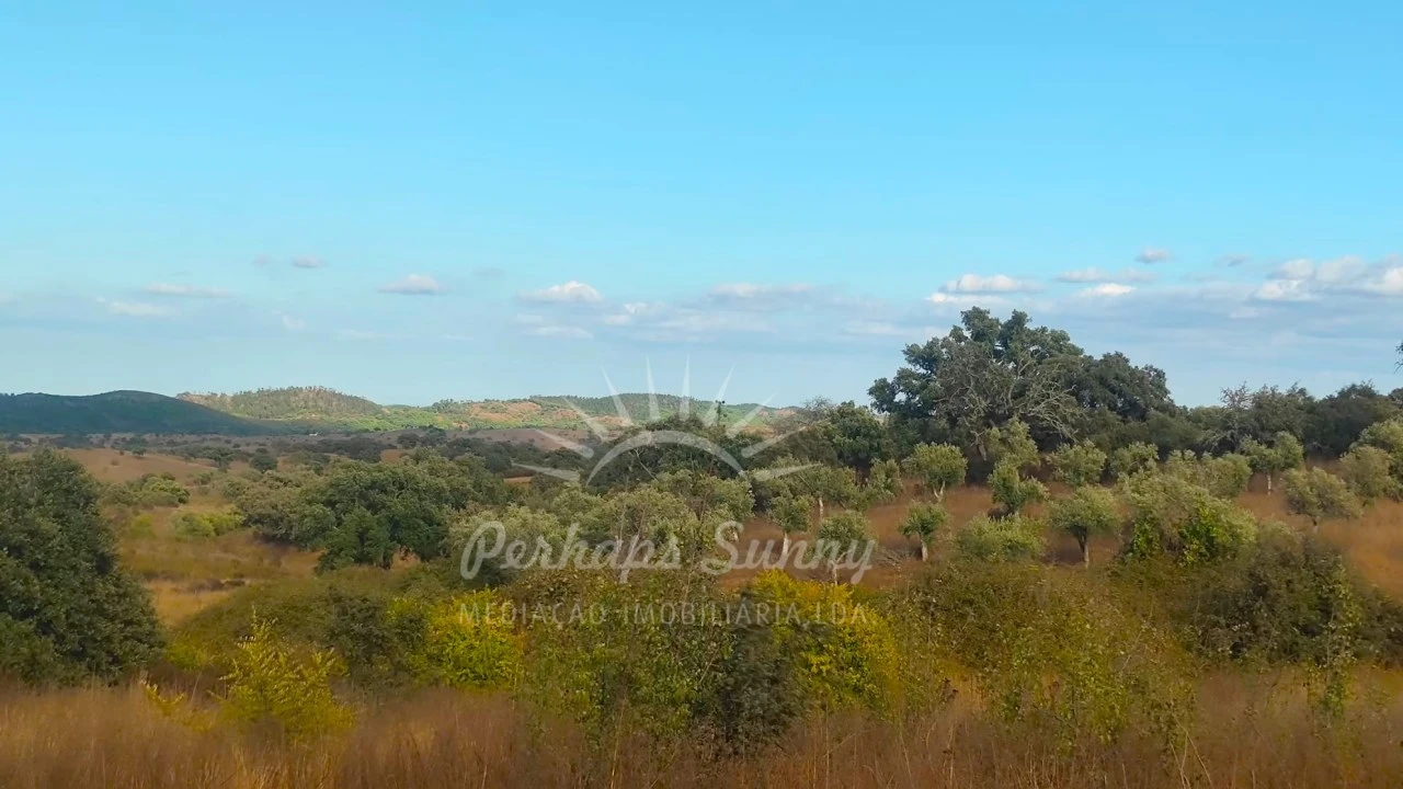Terreno Misto para Venda em Grândola e Santa Margarida da Serra Foto 17