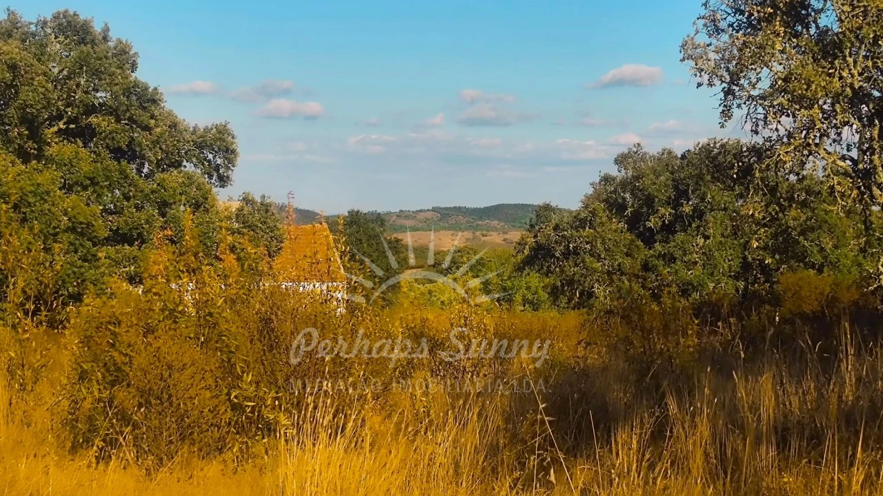 Terreno Misto para Venda em Grândola e Santa Margarida da Serra Foto 8