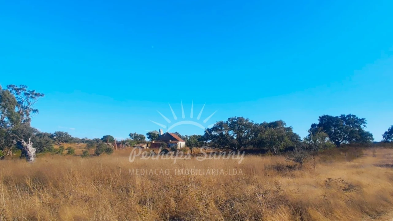 Terreno Misto para Venda em Grândola e Santa Margarida da Serra Foto 23