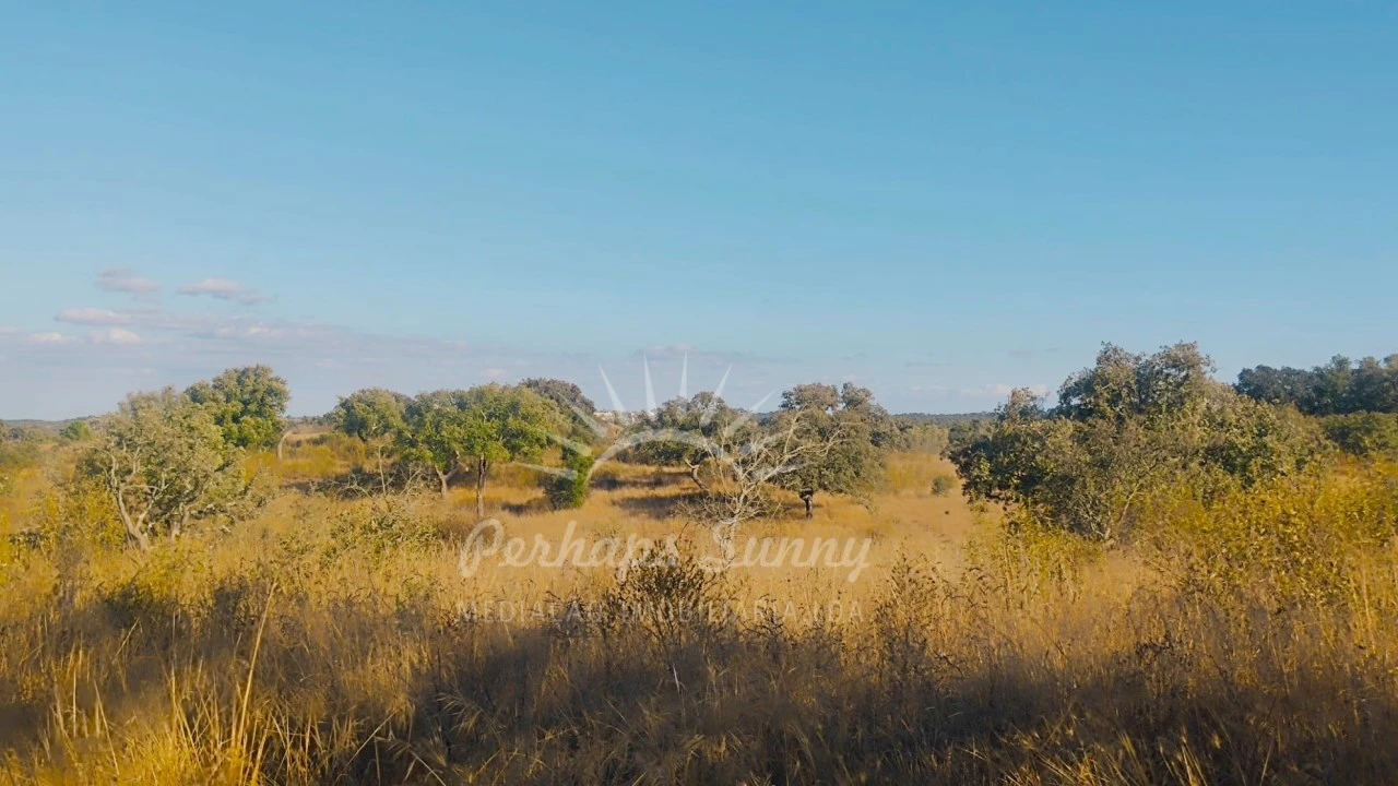 Terreno Misto para Venda em Grândola e Santa Margarida da Serra Foto 26