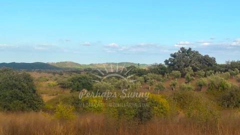 Terreno Misto para Venda em Grândola e Santa Margarida da Serra