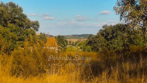 Terreno Misto para Venda em Grândola e Santa Margarida da Serra