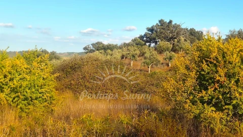 Terreno Misto para Venda em Grândola e Santa Margarida da Serra