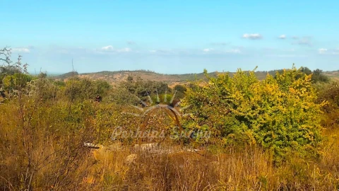 Terreno Misto para Venda em Grândola e Santa Margarida da Serra