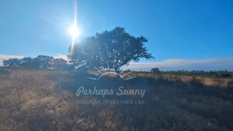 Terreno Misto para Venda em Grândola e Santa Margarida da Serra