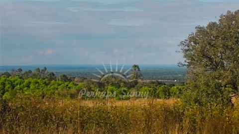 Terreno Misto para Venda em Grândola e Santa Margarida da Serra