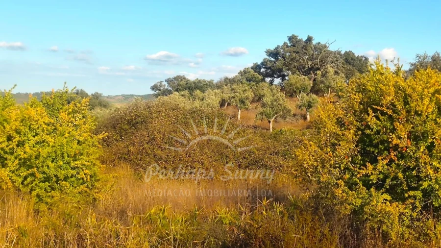 Terreno Misto para Venda em Grândola e Santa Margarida da Serra Foto 9