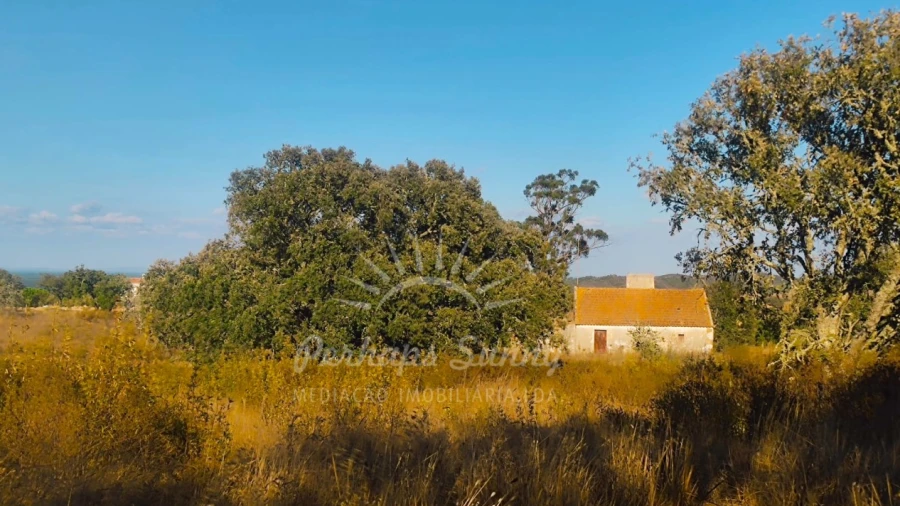 Terreno Misto para Venda em Grândola e Santa Margarida da Serra