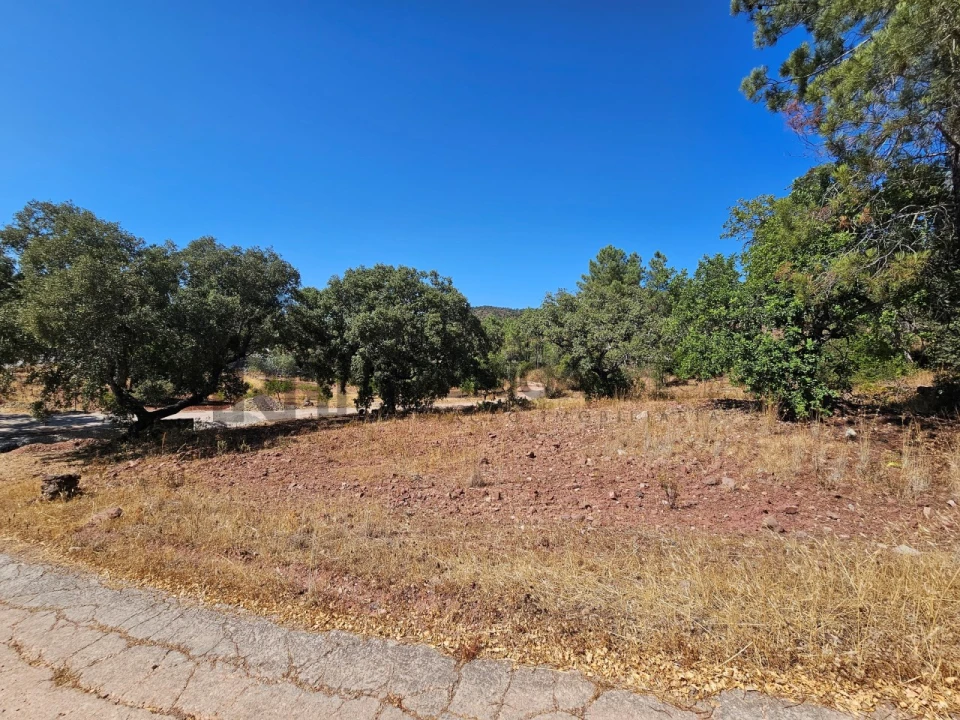 Terreno Agricola ou Rústico para Venda em Querença, Tôr e Benafim Foto 1