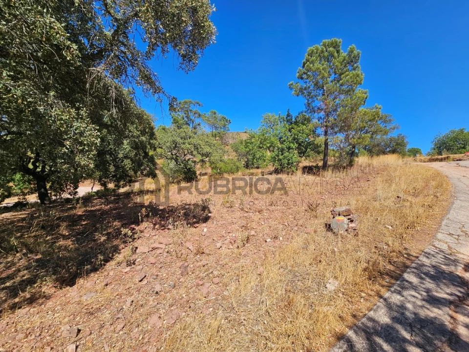 Terreno Agricola ou Rústico para Venda em Querença, Tôr e Benafim Foto 5