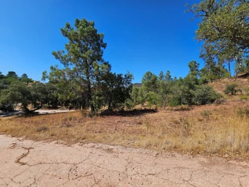 Terreno Agricola ou Rústico para Venda em Querença, Tôr e Benafim
