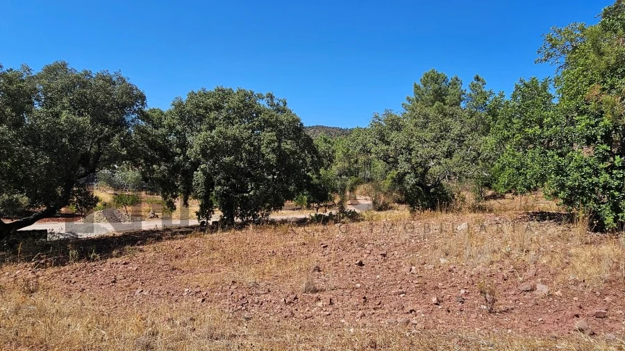 Terreno Agricola ou Rústico para Venda em Querença, Tôr e Benafim