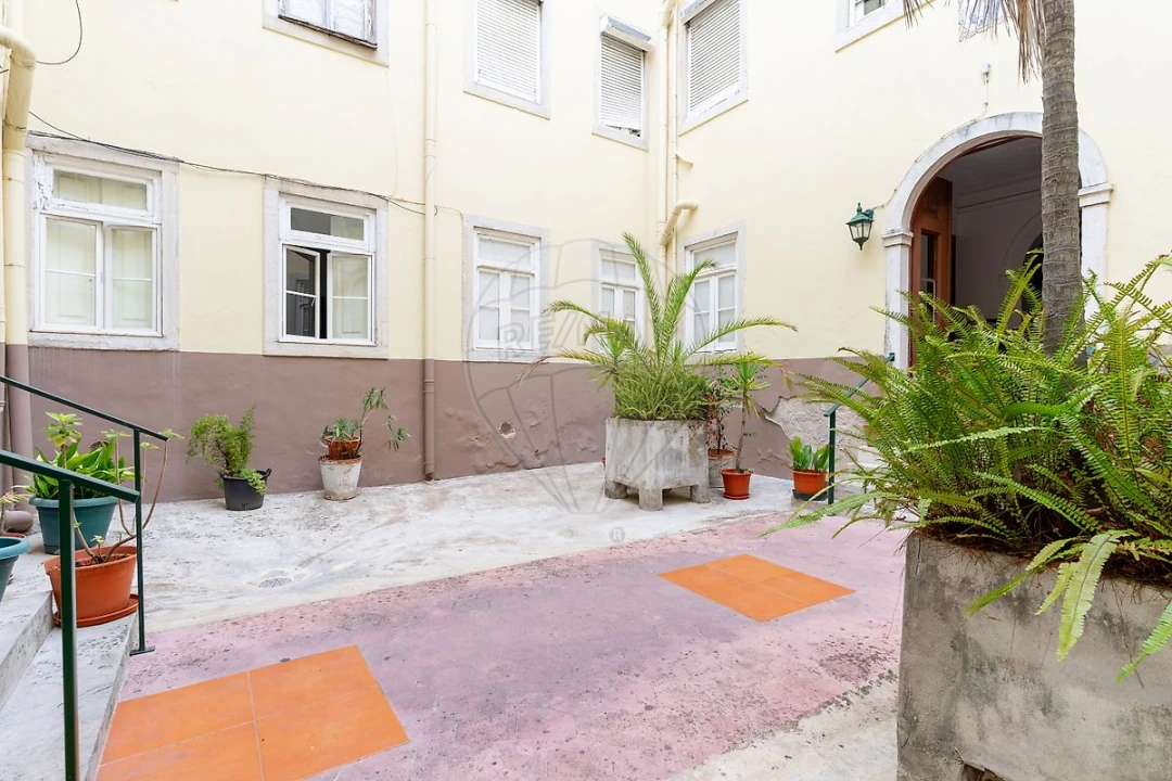 Apartamento T3 para Arrendamento em Santo António Foto 33