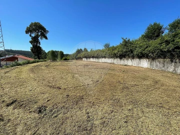 Terreno para Venda em Pinheiro da Bemposta, Travanca e Palmaz