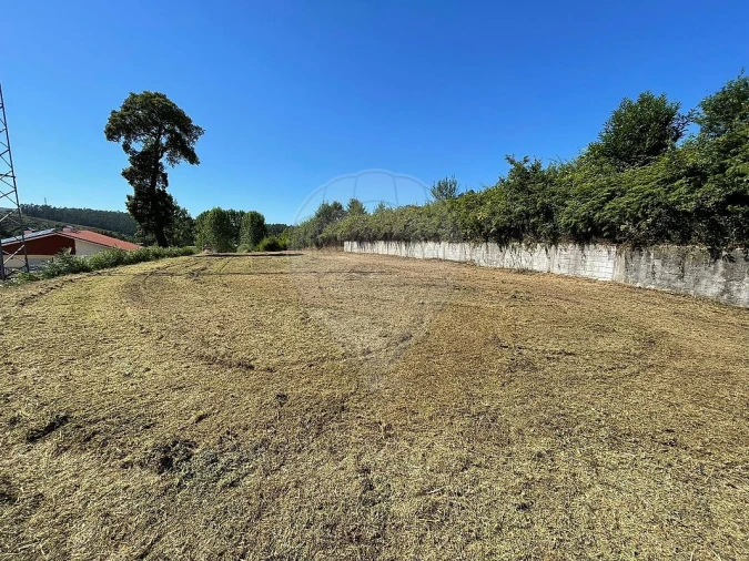 Terreno para Venda em Pinheiro da Bemposta, Travanca e Palmaz Foto 2