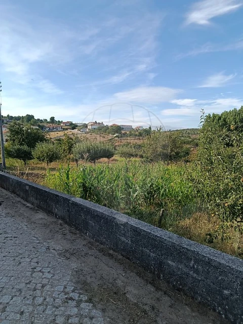 Moradia T4 para Venda em Carrazedo de Montenegro e Curros