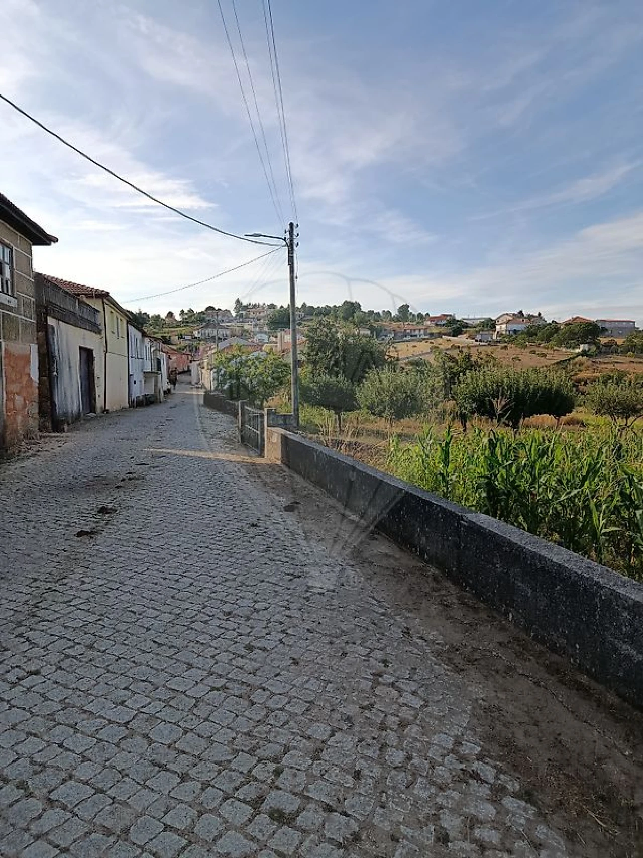 Moradia T4 para Venda em Carrazedo de Montenegro e Curros Foto 16