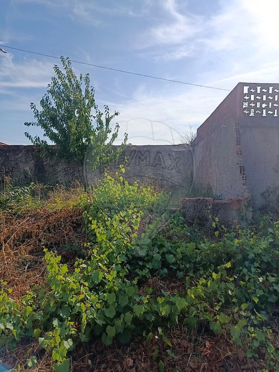 Moradia T4 para Venda em Carrazedo de Montenegro e Curros Foto 26