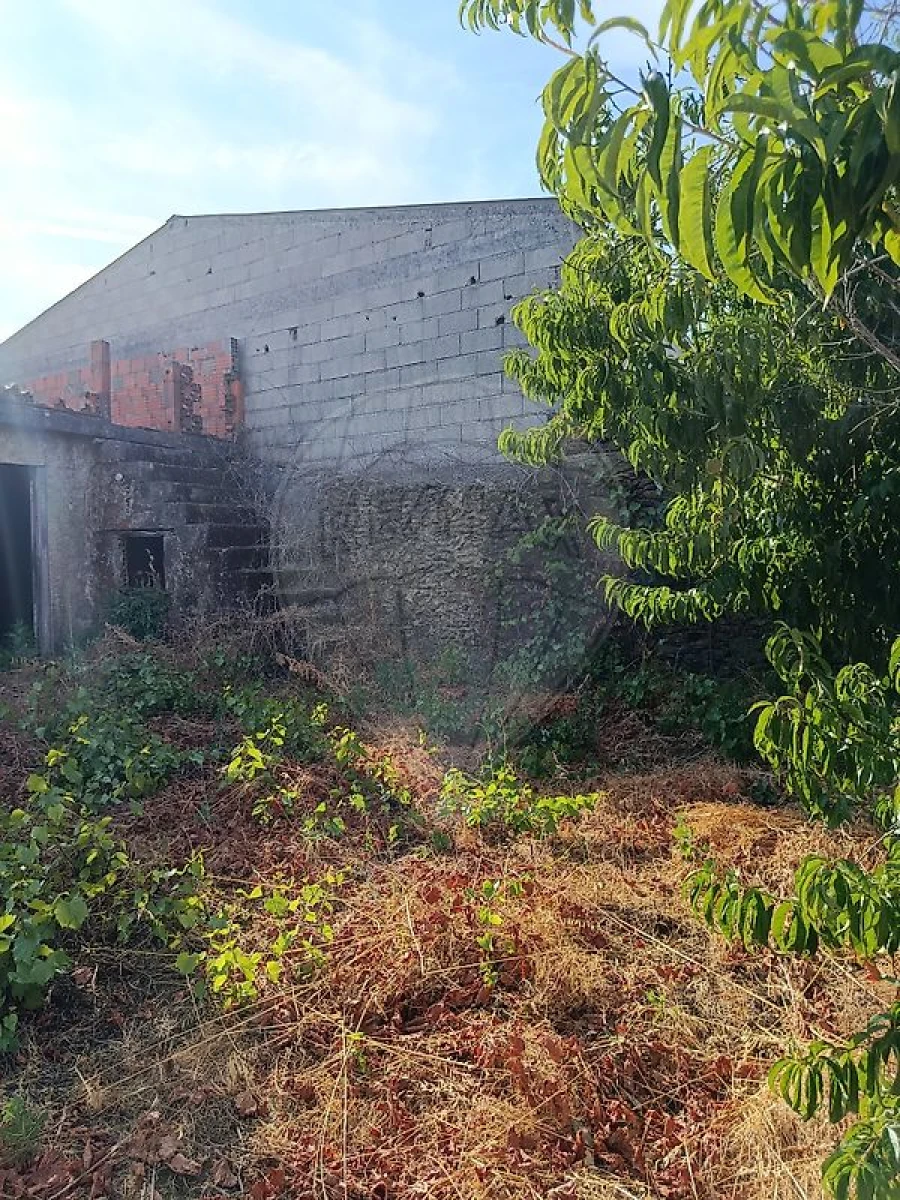 Moradia T4 para Venda em Carrazedo de Montenegro e Curros Foto 30