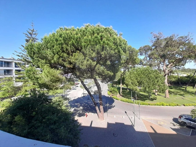 Apartamento T1 para Venda em Carvalhal Foto 11