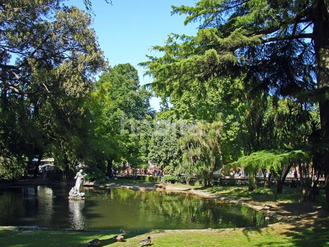 Apartamento T2 para Venda em Estrela Foto 24