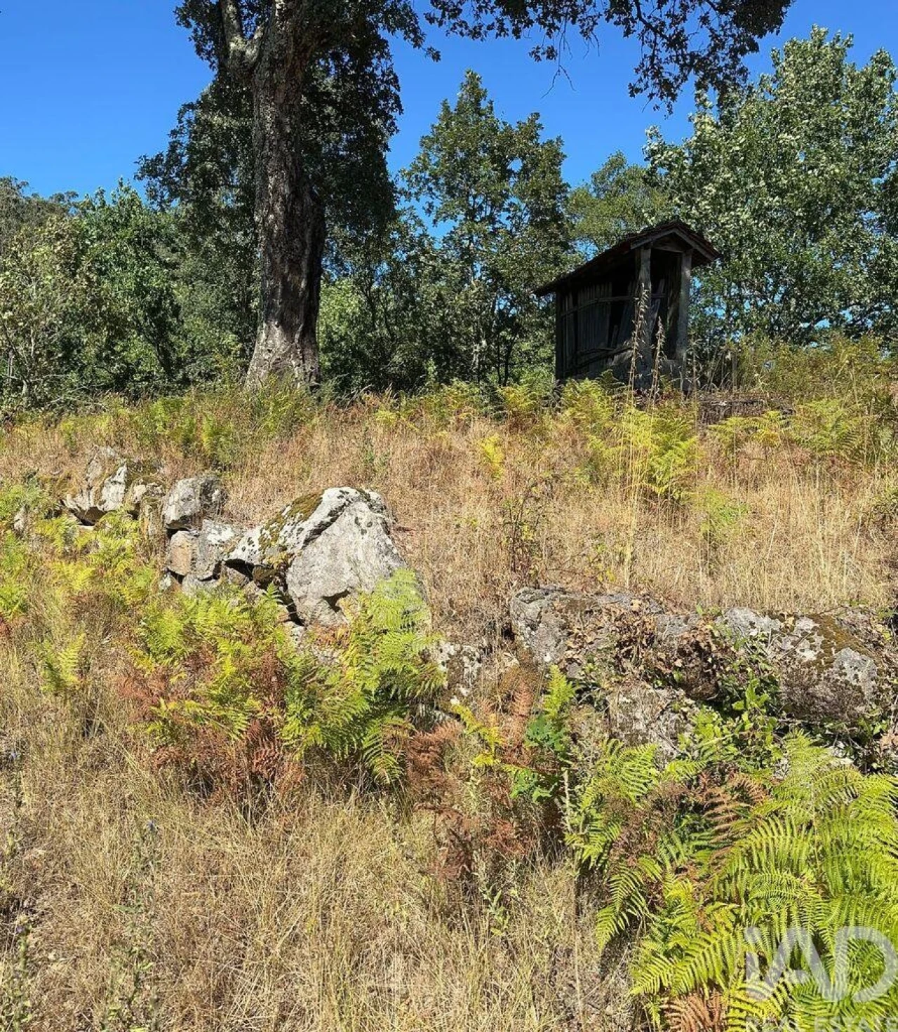 Terreno para Venda em Valadares Foto 8