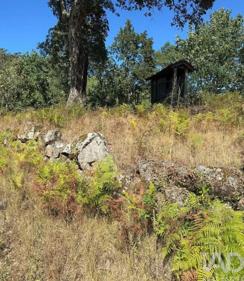 Terreno para Venda em Valadares